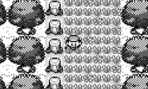 Pokémon Animation